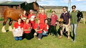 Ash End House Children's Farm